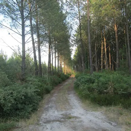 Hope's Land - Onesse-et-Laharie