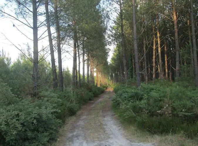 Hope's Land - Onesse-et-Laharie